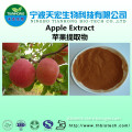 100% natural apple extract/green apple extract/apple fruit extract